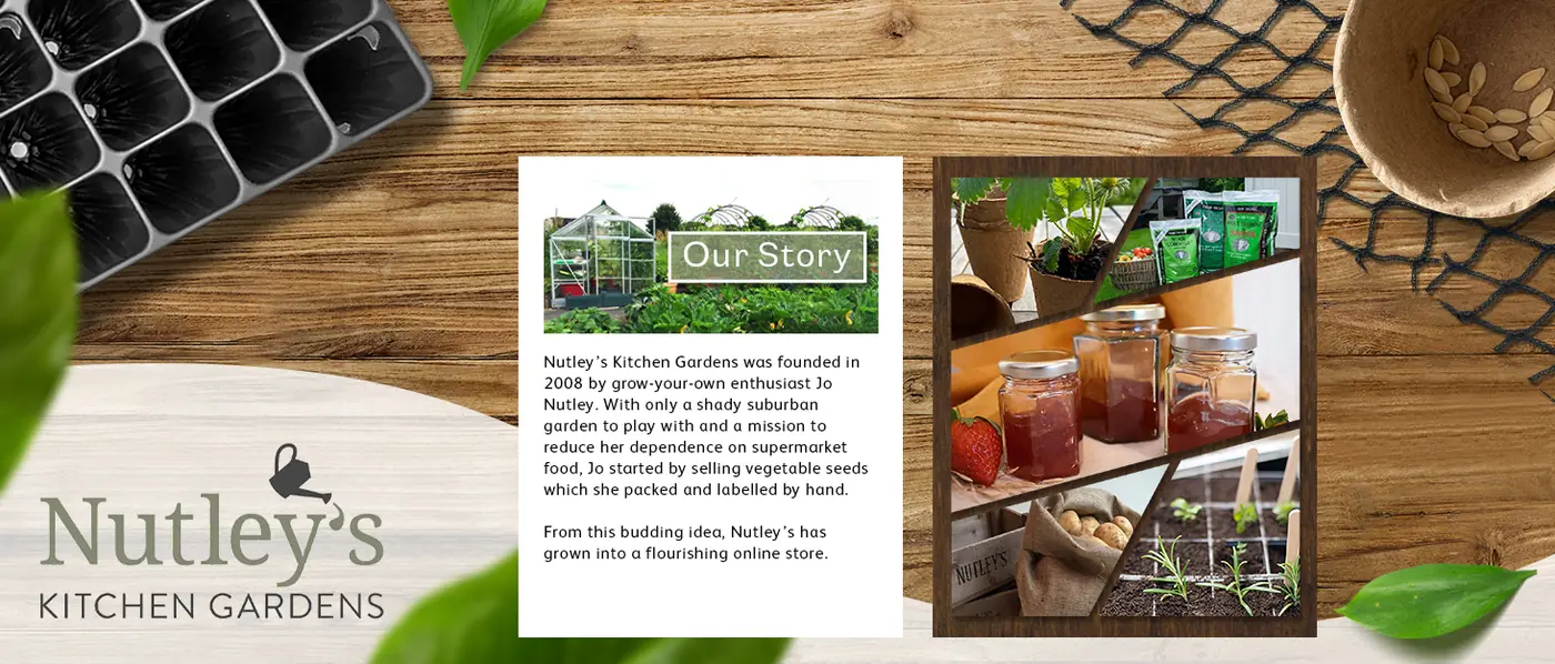 Design for Nutley's