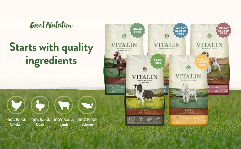 Design for Vitalin